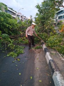 Gegara Pohon Tumbang, Jalan Letda Sujono Sempat Ditutup Pagi Tadi