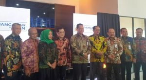 Hadirkan Beras Berkualitas, Bulog Luncurkan Toko Online PangananDotcom
