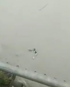 Keluarga Siapa Ini? Tewas Terapung di Sungai Sei Ular