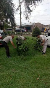 Polsek Pagar Merbau, Lakukan Pengecekkan dan Perawatan Tanaman