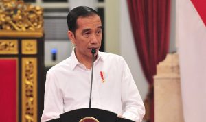 Presiden Jokowi Minta Tes Massal Corona Segera Dilakukan