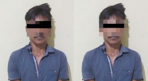 Curi Sawit di Lahan PT Serdang Tengah, Pria Ini Diamankan Tekab Polsek Galang Polresta Deli Serdang