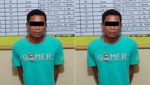 Maling 10 Janjang Sawit Diringkus Tekab Polsek Galang Polresta Deli Serdang