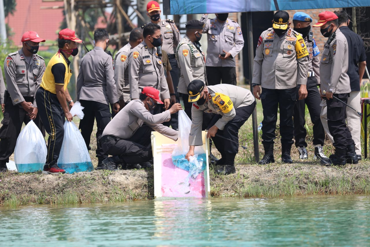 Kapoldasu Tabur 10 Ribu Benih Ikan di Kolam Laju SPN Hinai
