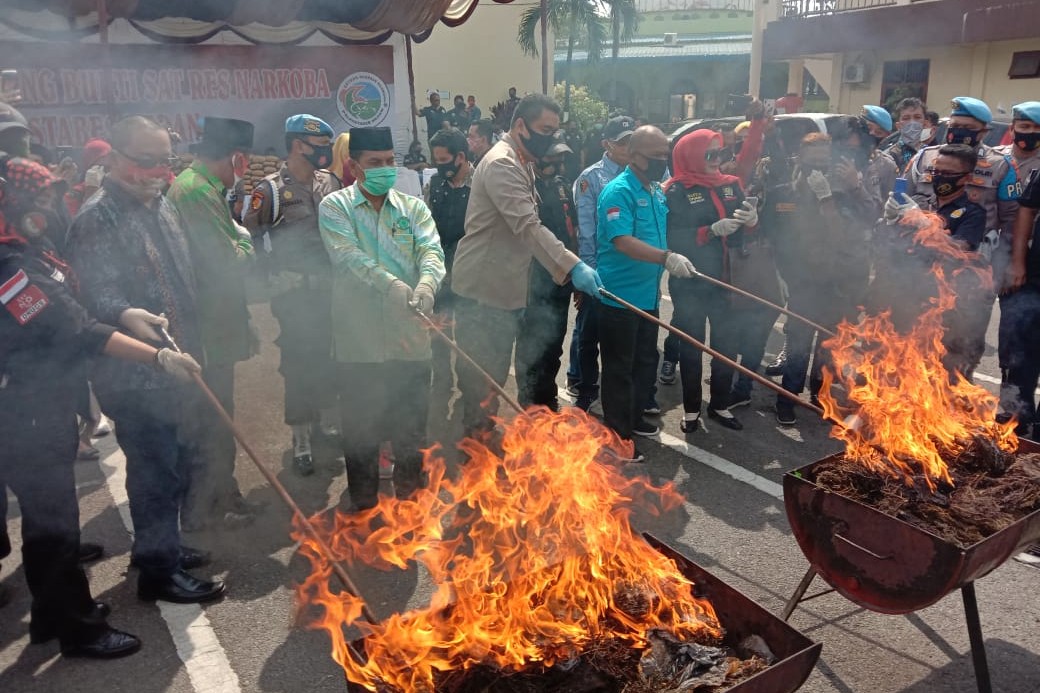 358 Kg Ganja Senilai Rp 770 Juta Dibakar di Polrestabes Medan