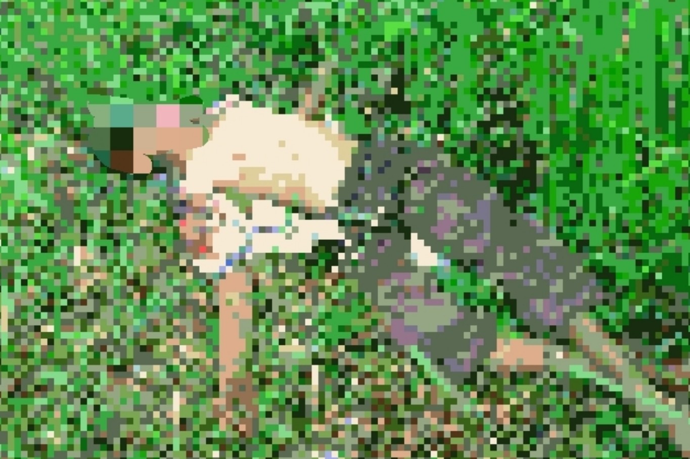 Mayat Pria Penuh Luka di Wajah dan Kepala Tergeletak di Pinggir Parit, Desa Bandar Khalipah