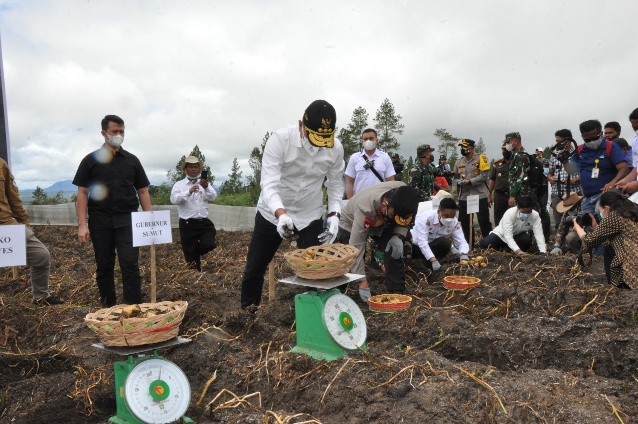 Menko Marves RI Tinjau Pengembangan Pertanian Food Estate di Humbahas