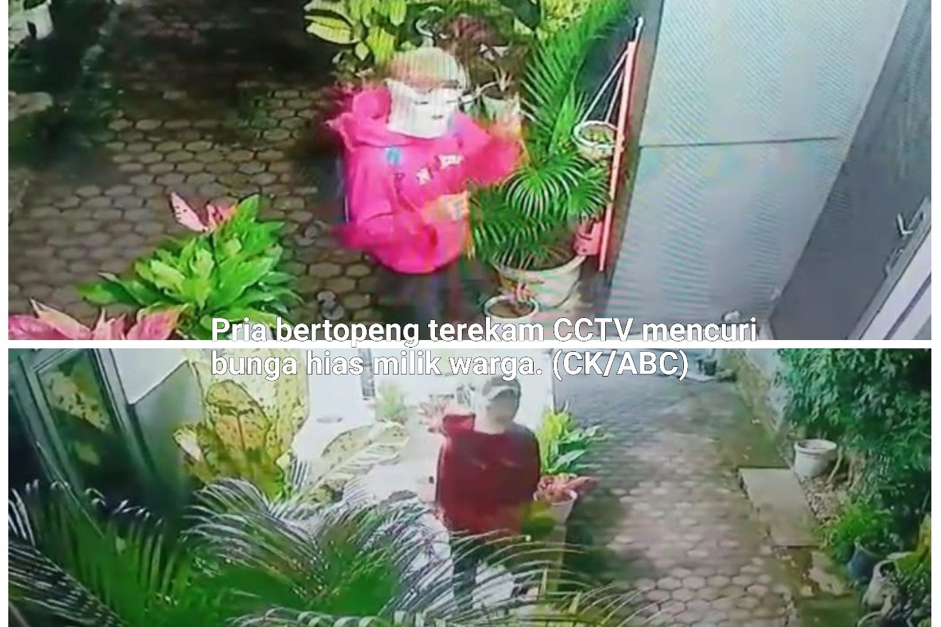 Pria Bertopeng Pencuri Bunga Hias Berkeliaran di Desa Skip