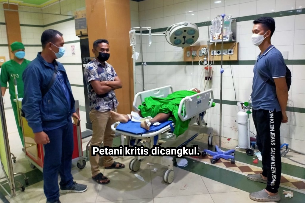 Dikatai Sarjana Taik, Petani di Deli Serdang Cangkul Abang Hingga Kritis