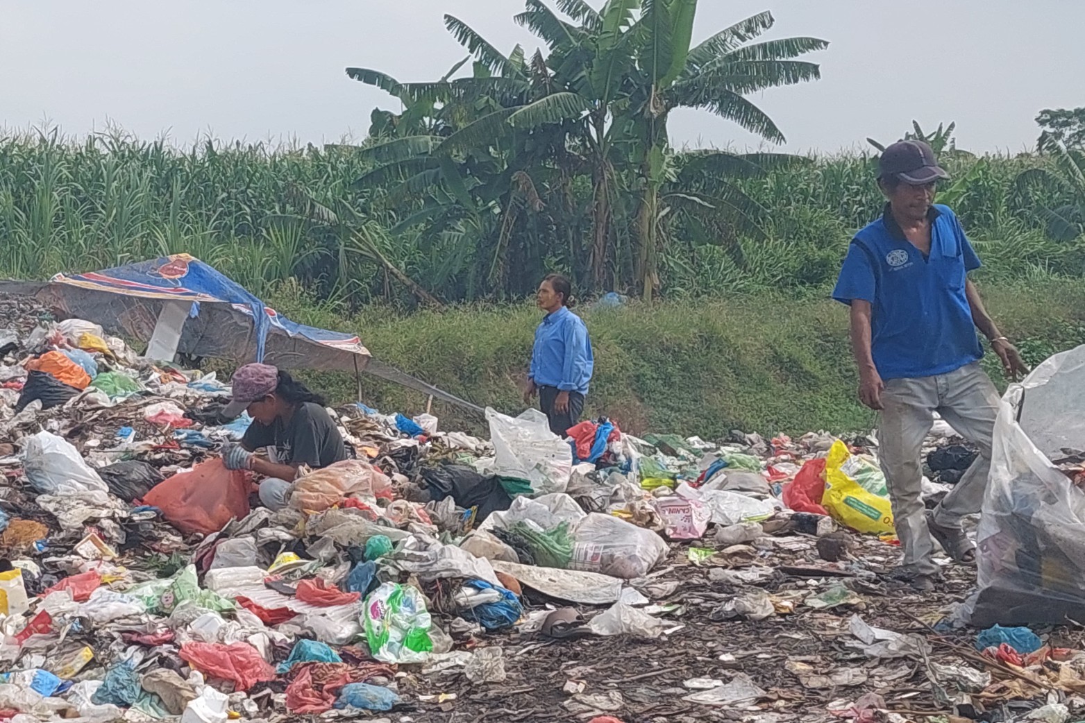 Harapan di Tumpukan Sampah