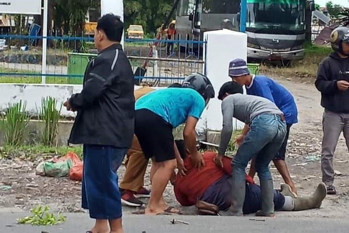 Pohon Mahoni Tumbang, Pengendara Motor Patah-patah Tertimpa