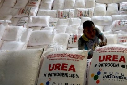 Temuan Timbunan Pupuk Subsidi di Sergai, Bisa Jadi Ancaman Kenaikan Harga Pangan