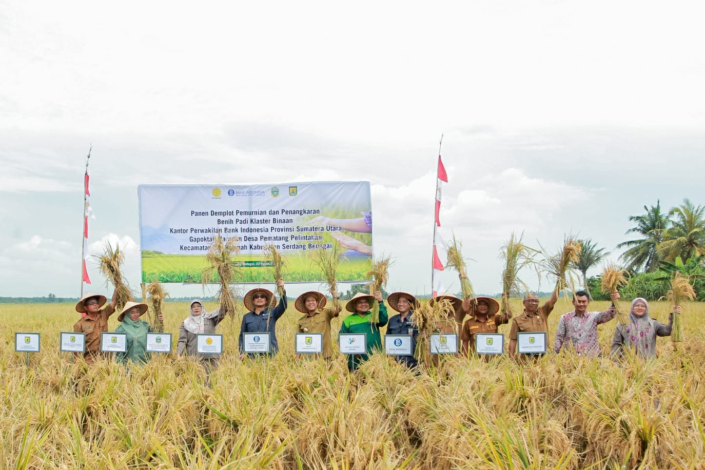 BI Sumut Harap Gapoktan Harapan Mampu Produksi 3.022 -3.487 Ton Beras Per Musim Tanam