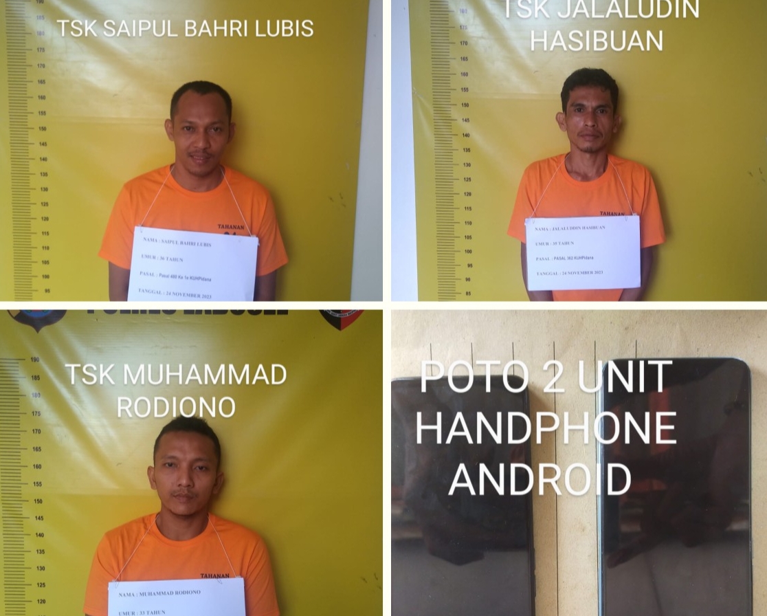 Polres Labusel Berhasil Tangkap Maling dan 2 Penadah
