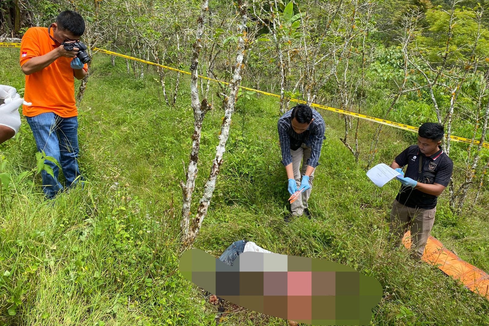 Polres Samosir Amankan Diduga Pelaku Pembunuhan di Ladang Kopi
