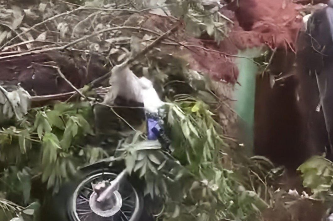 Longsor di Taput Sebabkan 3 Orang Tewas, 13 Luka dan Seret Kendaraan