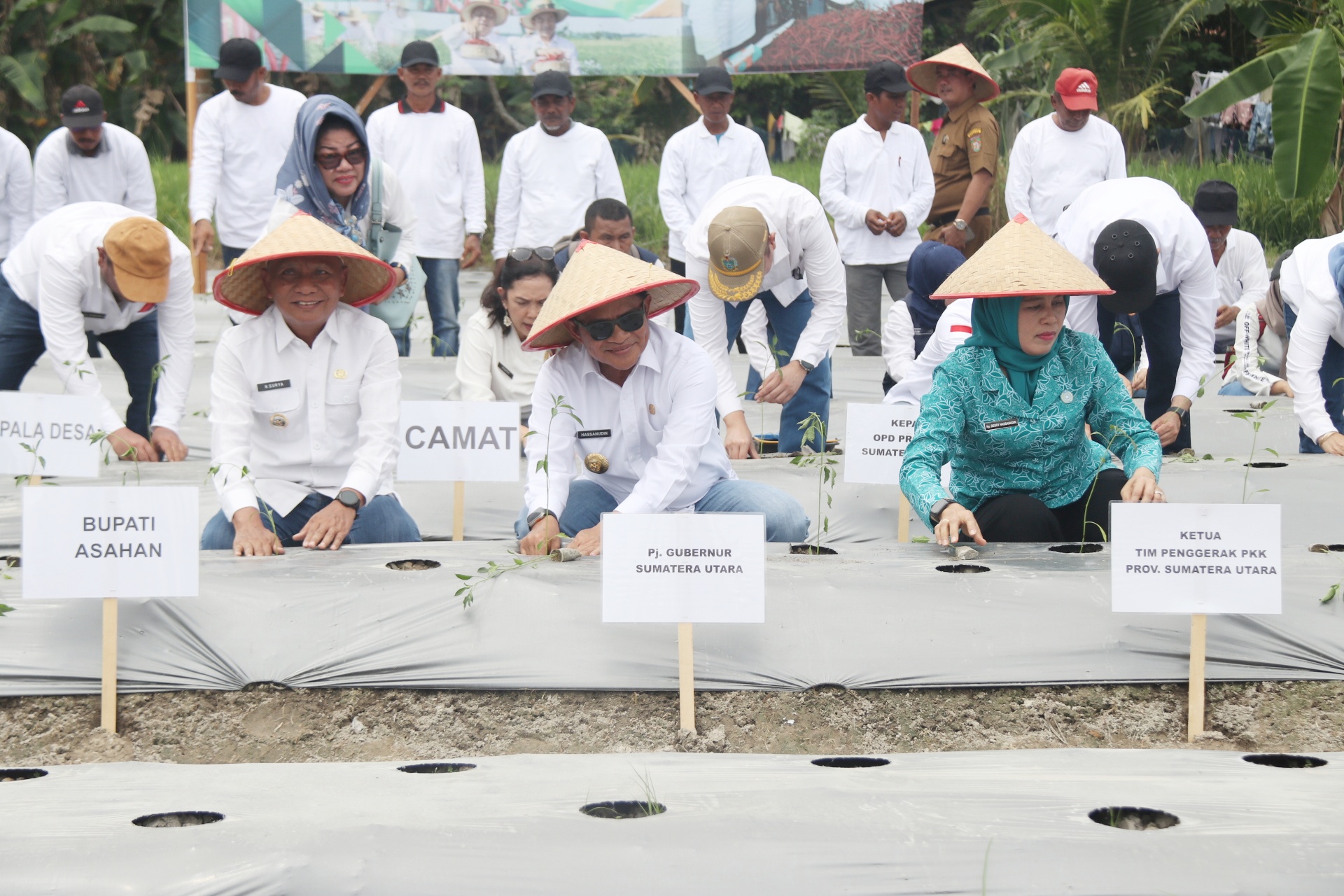 Tanam Cabai di Lahan Pertanian, Pj Gubernur Sumut Harapkan Ketersediaan Cabai Merata