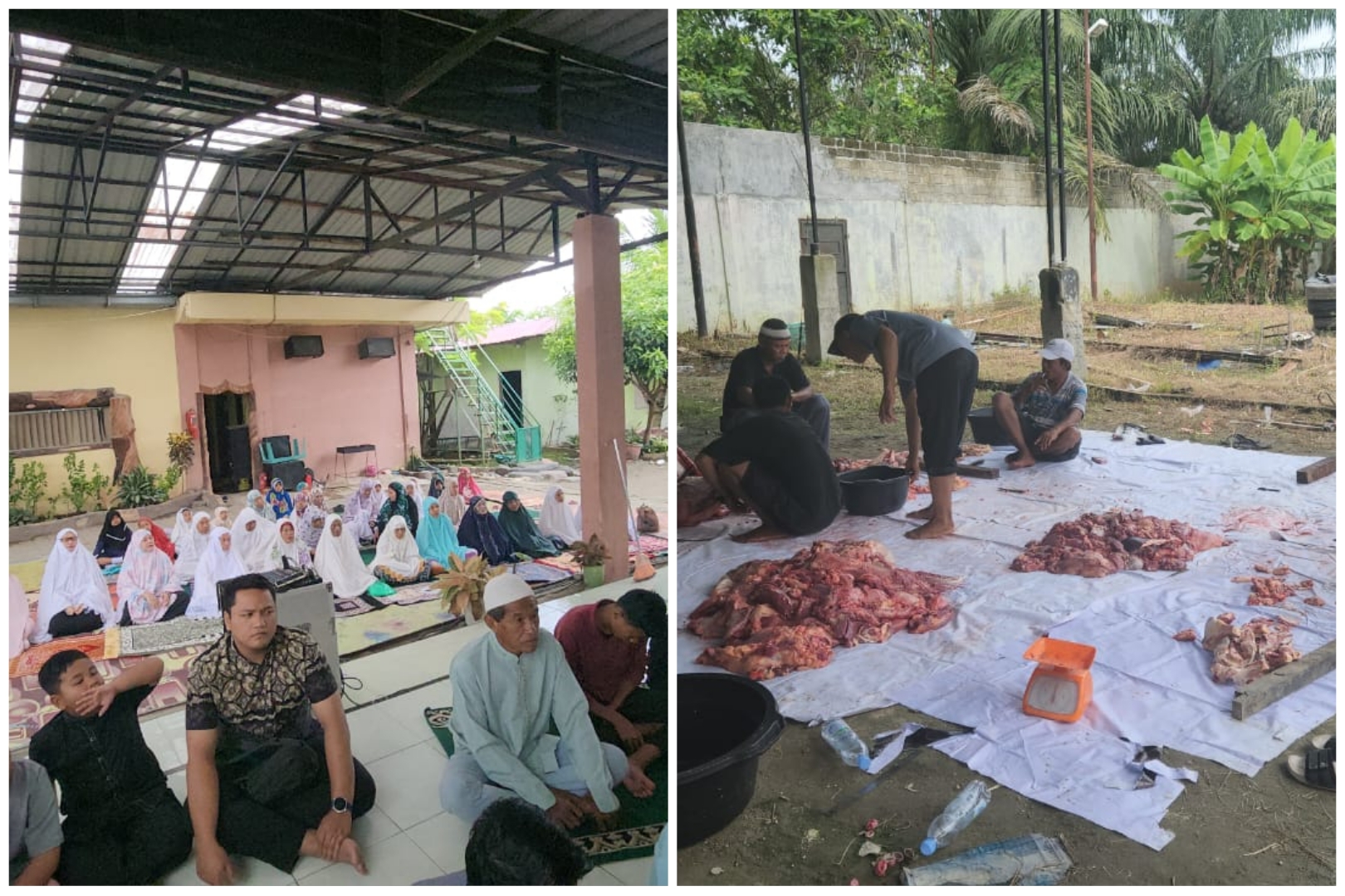 Ponpes Tahfidz Assairun Berkurban Bersama Anak Yatim dan Dhuafa