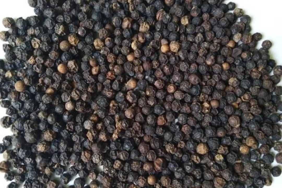KPPU Lidik Eksportir Lada Hitam di Lampung