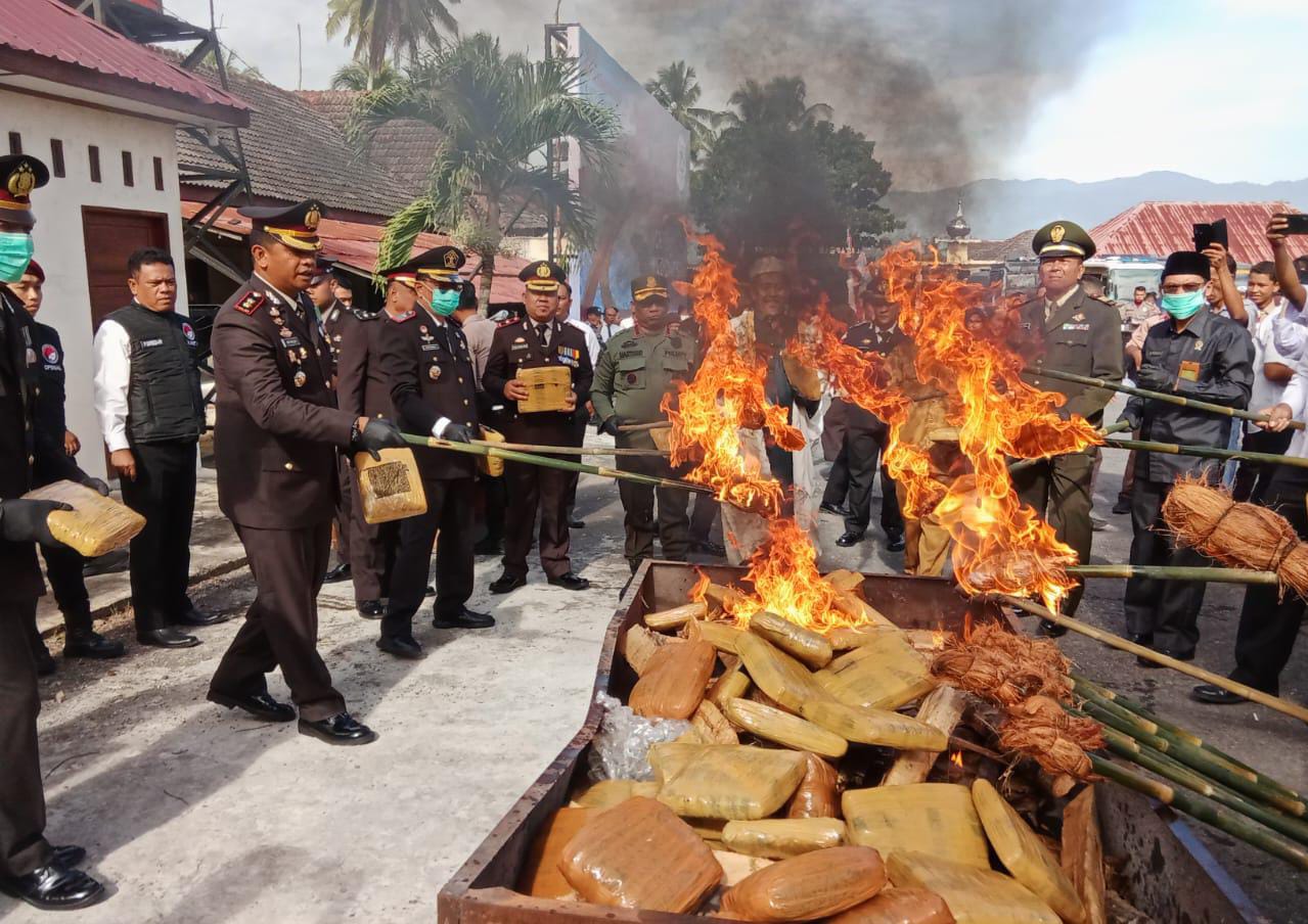 Pemusnahan 140 Kg Ganja Warnai HUT Bhayangkara ke-78 di Polres Madina