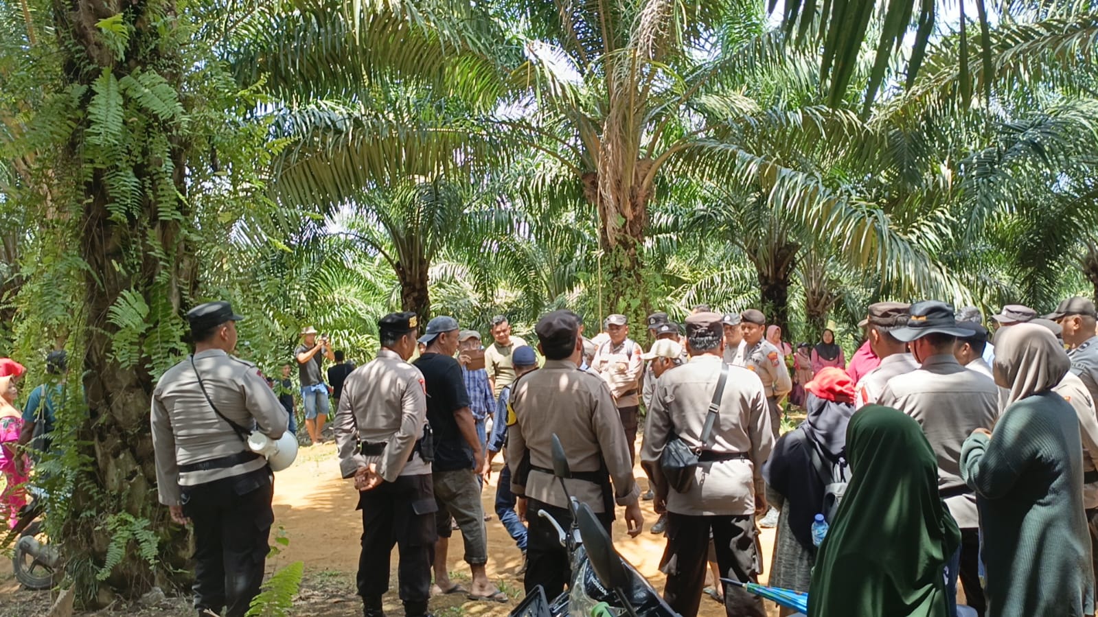 Masyarakat Tapus Usir Paksa Karyawan PT. TBS dari Kebun Sawit yang Diklaim Milik KUD Rimbo Tuo
