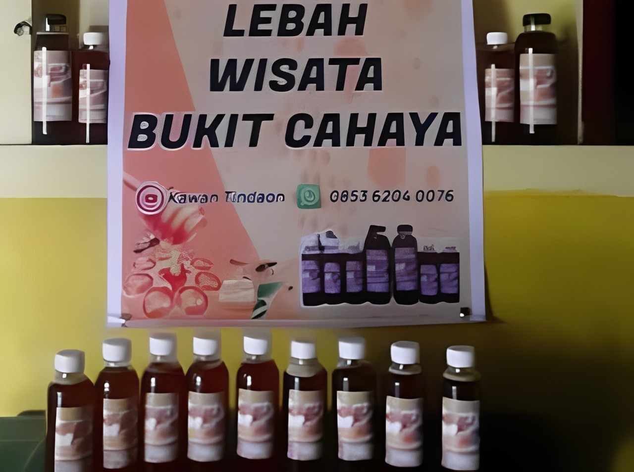 Wisata Lebah Bukit Cahaya di Samosir Siap Digarap Jadi Destinasi Unggulan