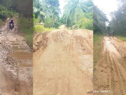 Jalan Rusak Parah, Warga Desak Pemerintah Turun Tangan  