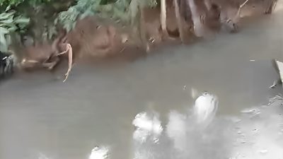 Sungai Halaban Tercemar Limbah Pabrik, PT Pinang Sakti Akui Kebocoran