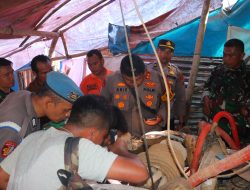 Polri dan TNI Razia Tambang Emas Ilegal di Hutabargot, Kapolres Minta Semua Aktivitas Dihentikan