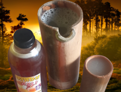 Wisata Lebah Bukit Cahaya di Samosir Kini Hadirkan Warung Kopi Madu dan Tuak Madu