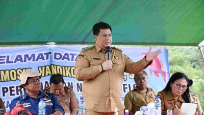 Samosir Punya “Kampung Nila”, Panen Perdana Pokdakan Mekar Jadi Bukti 