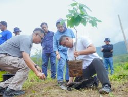 Jaga Hutan Tetap Hijau, Gubernur Bobby Nasution Tanam Pohon dan Bagikan Ribuan Bibit 