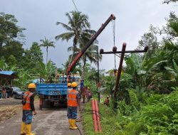PLN Sumut Jaga Keandalan Pasokan Listrik Melalui Pemeliharaan Jaringan