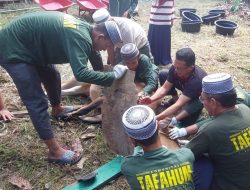 Tafahum Sumut Sukseskan Idul Adha 2025 sebagai Team Sembelih Syar’i