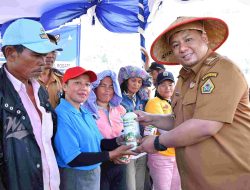 Padi Ditabur, Budaya Digelorakan! Samosir Hidupkan Festival Manuan Eme dan Bagikan Traktor ke Petani