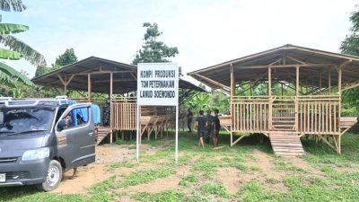 Kompi Produksi Peleton Peternakan Lanud Soewondo Siap Wujudkan Ketahanan Pangan Nasional