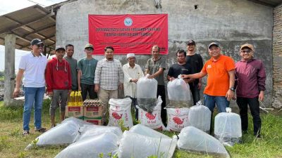 Tambak Mati Hidup Lagi! LPPM Unimed Tebar 12 Ribu Benih Tilapia untuk Warga Percut