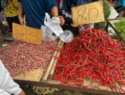 Harga Cabai Capai 85 Ribu Per Kg, NTP Hortikultura dan Perkebunan Naik, Untuk Tanaman Pangan dan Peternakan Menurun