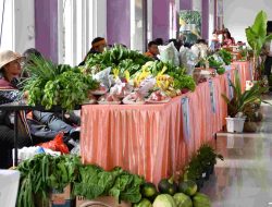 Pemkab Samosir Peringati Hari Tani Nasional, Dorong Lahirnya Petani Milenial