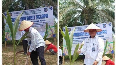 Kalapas Gunungtua Ikut Sukseskan Penanaman Pohon Kelapa di Lapas Padangsidimpuan