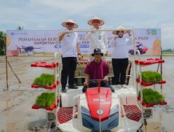 Wujudkan Ketahanan Pangan dan Petani Sejahtera, BI Sumut Kick Off Klaster Padi Deli Serdang dan Langkat