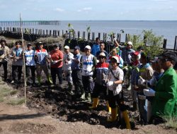 Selamatkan Pesisir Mundam-Dumai, UPER Galang Kolaborasi untuk Tangani Abrasi di Riau