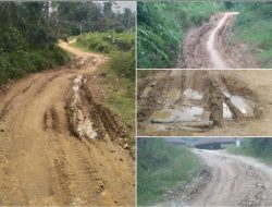 Warga Dusun 3 Sukajaya Besitang Keluhkan Jalan Rusak Parah, Bak “Kubangan Kerbau”