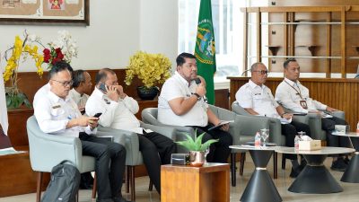 Pemprov Sumut Tingkatkan Layanan PROBIS, Siapkan Aduan Kesehatan Digital 24 Jam