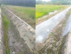 Belum Setahun Dibangun, Irigasi Desa Sekoci Sudah Retak di Sejumlah Titik