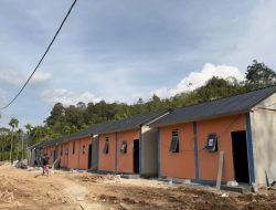 Ribuan Tewas, Ratusan Ribu Terdampak: BNPB Kebut Pemulihan Bencana di Aceh, Sumbar, dan Sumut