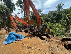 Operasi Besar Polda Sumut! Tambang Emas Ilegal Beromzet Miliaran di Tapsel–Madina Disikat, 17 Orang Diciduk