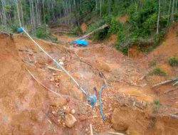 Polda Sumut Dinilai Tebang Pilih, Tambang Emas Ilegal di Pantai Barat Madina Masih Marak