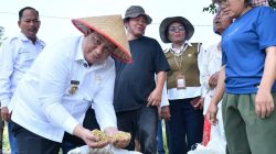 Bupati Samosir Dorong “Taksi Alsintan” Jadi Motor Modernisasi Pertanian
