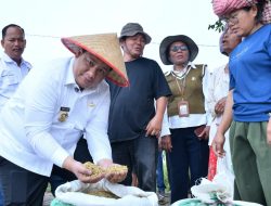 Bupati Samosir Dorong “Taksi Alsintan” Jadi Motor Modernisasi Pertanian